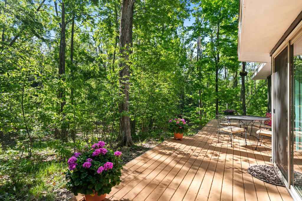 1566 Candlewood Harbor Springs MI 49740