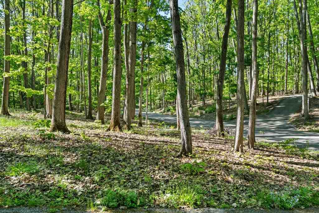 1566 Candlewood Harbor Springs MI 49740