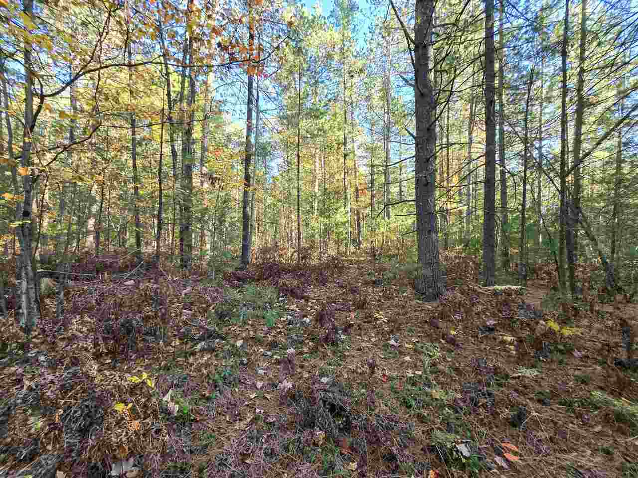 7840 Douglas Lake Road Pellston MI 49769