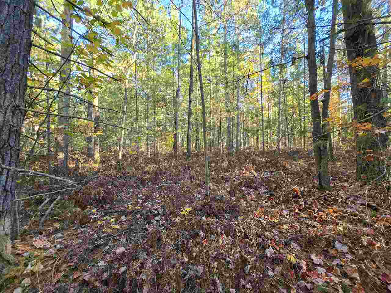 7840 Douglas Lake Road Pellston MI 49769