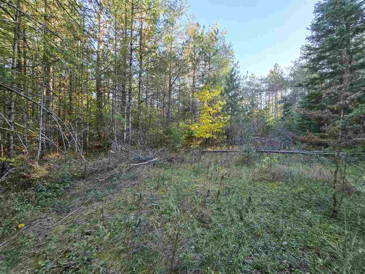 7840 Douglas Lake Road Pellston MI 49769