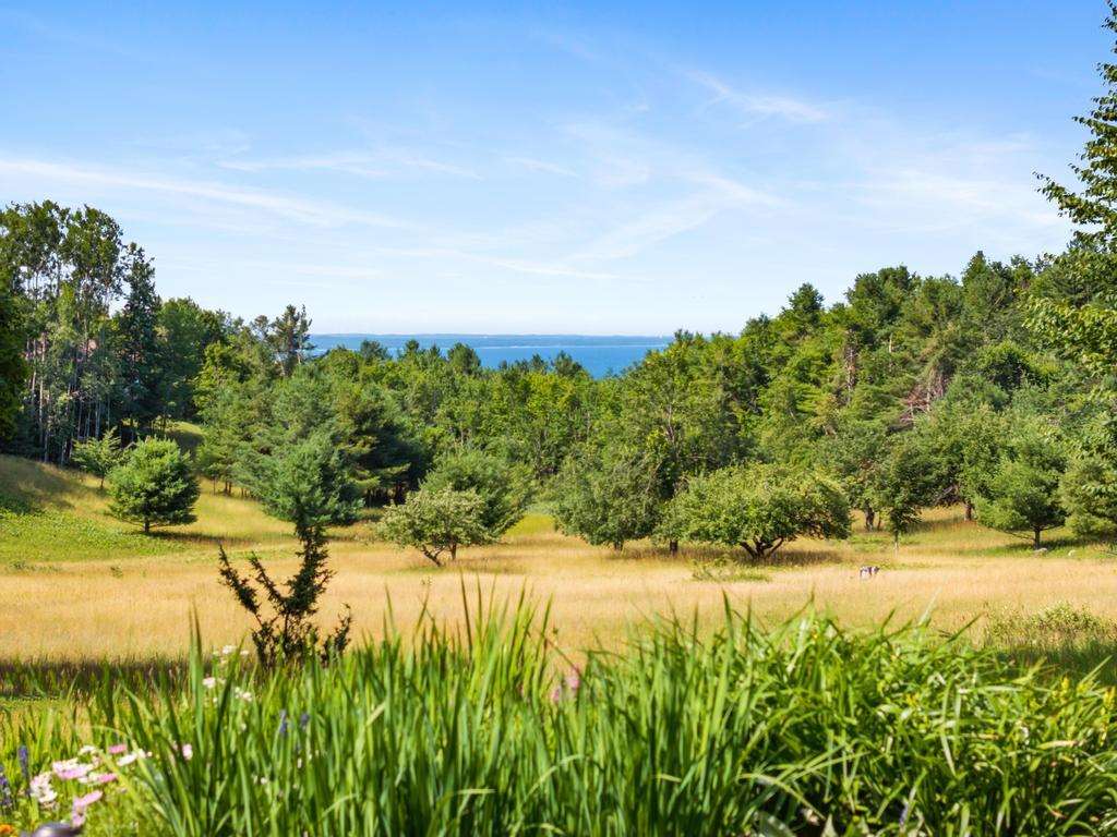 272 Meadows Lane Harbor Springs MI 49740