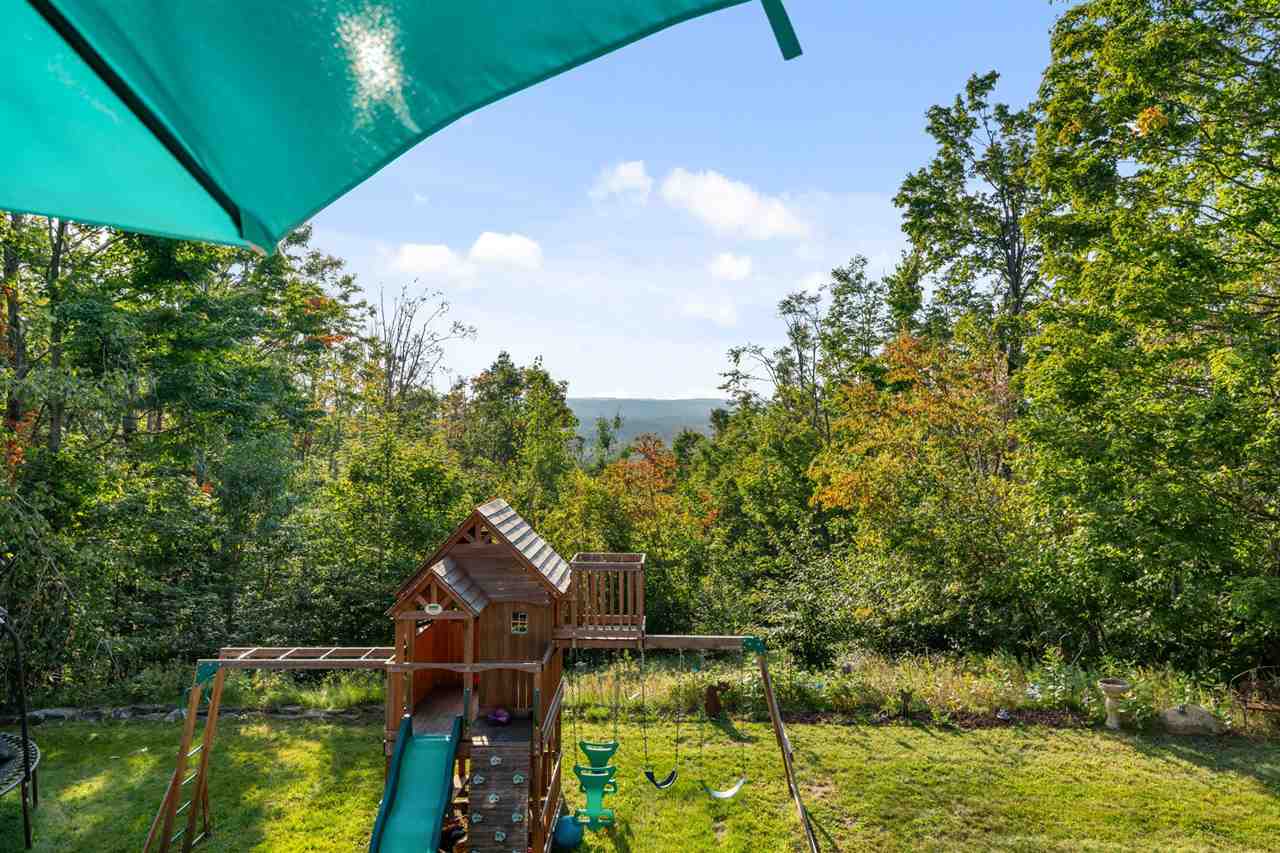 6802 Mount Vernon Hills Drive Vanderbilt MI 49795