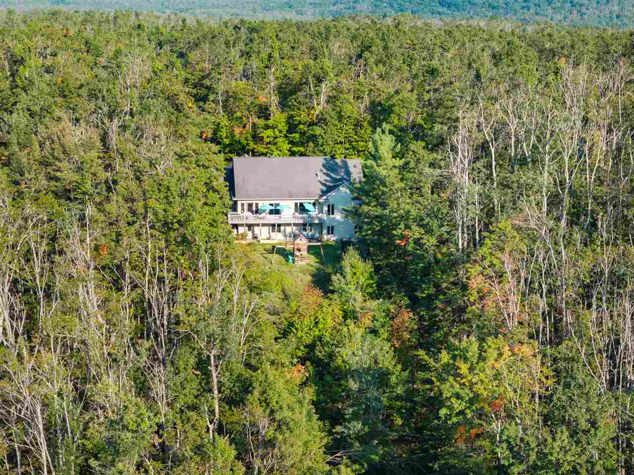 6802 Mount Vernon Hills Drive Vanderbilt MI 49795