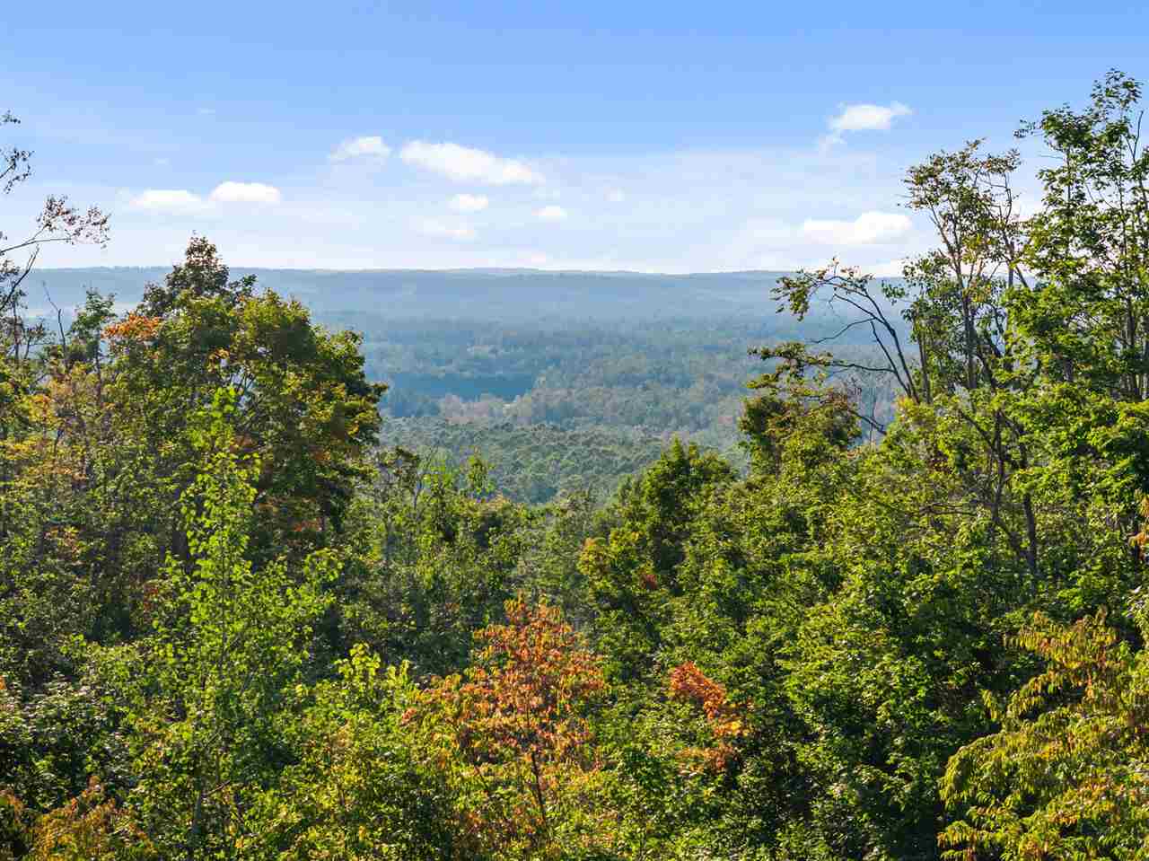 6802 Mount Vernon Hills Drive Vanderbilt MI 49795