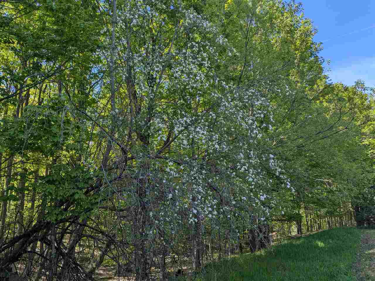8828 Roberts Road Central Lake MI 49622