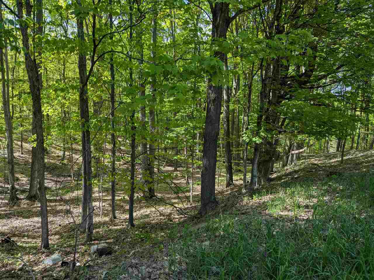 8828 Roberts Road Central Lake MI 49622