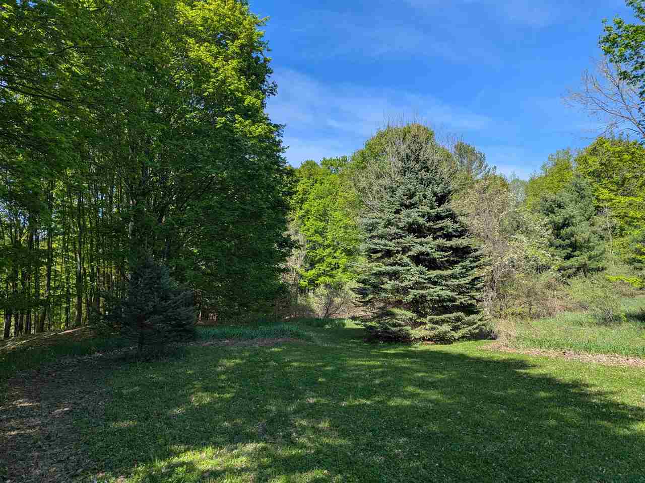 8828 Roberts Road Central Lake MI 49622