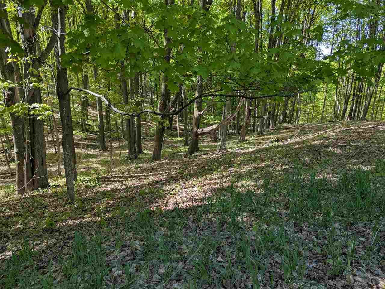 8828 Roberts Road Central Lake MI 49622