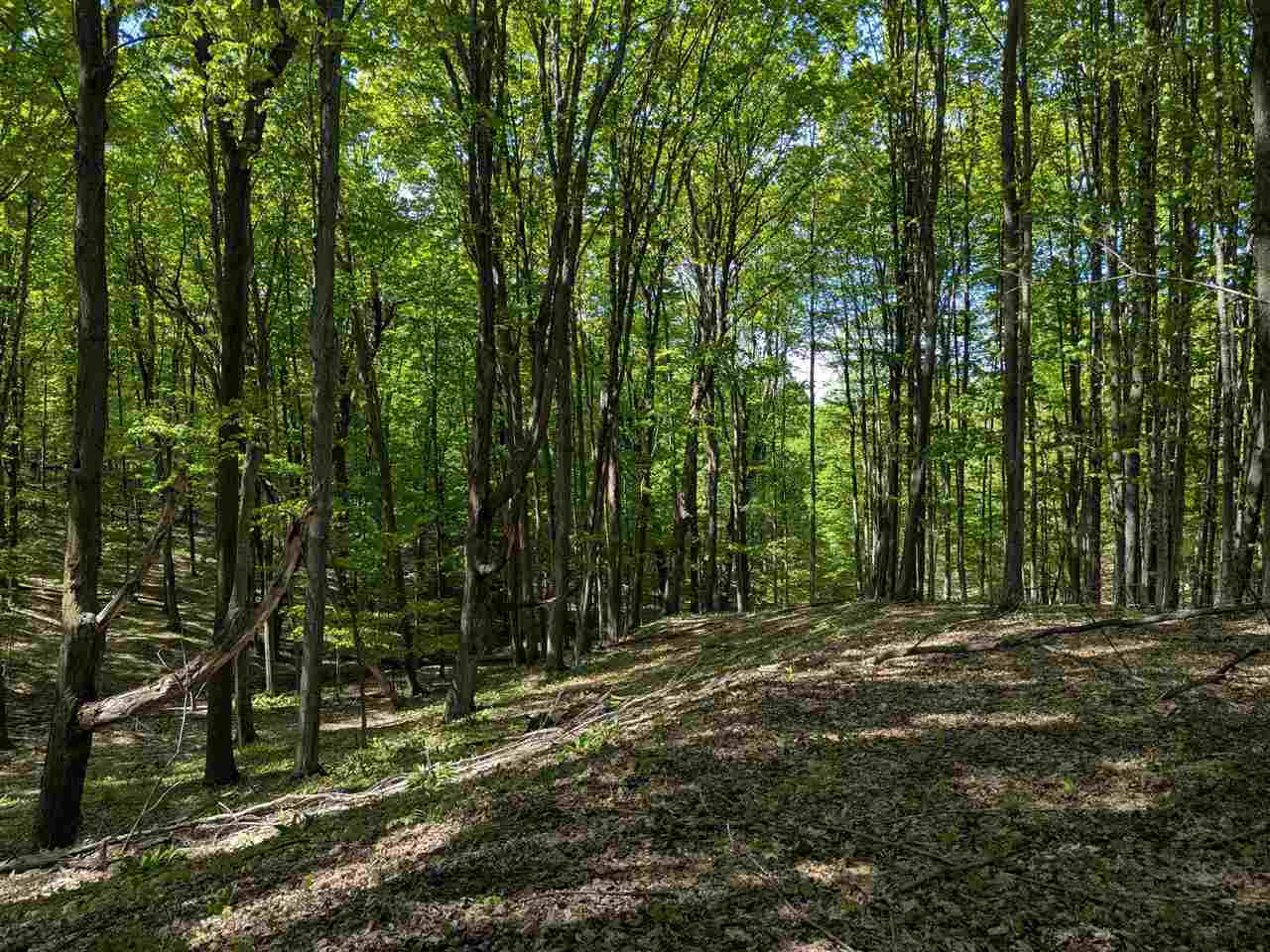 8828 Roberts Road Central Lake MI 49622