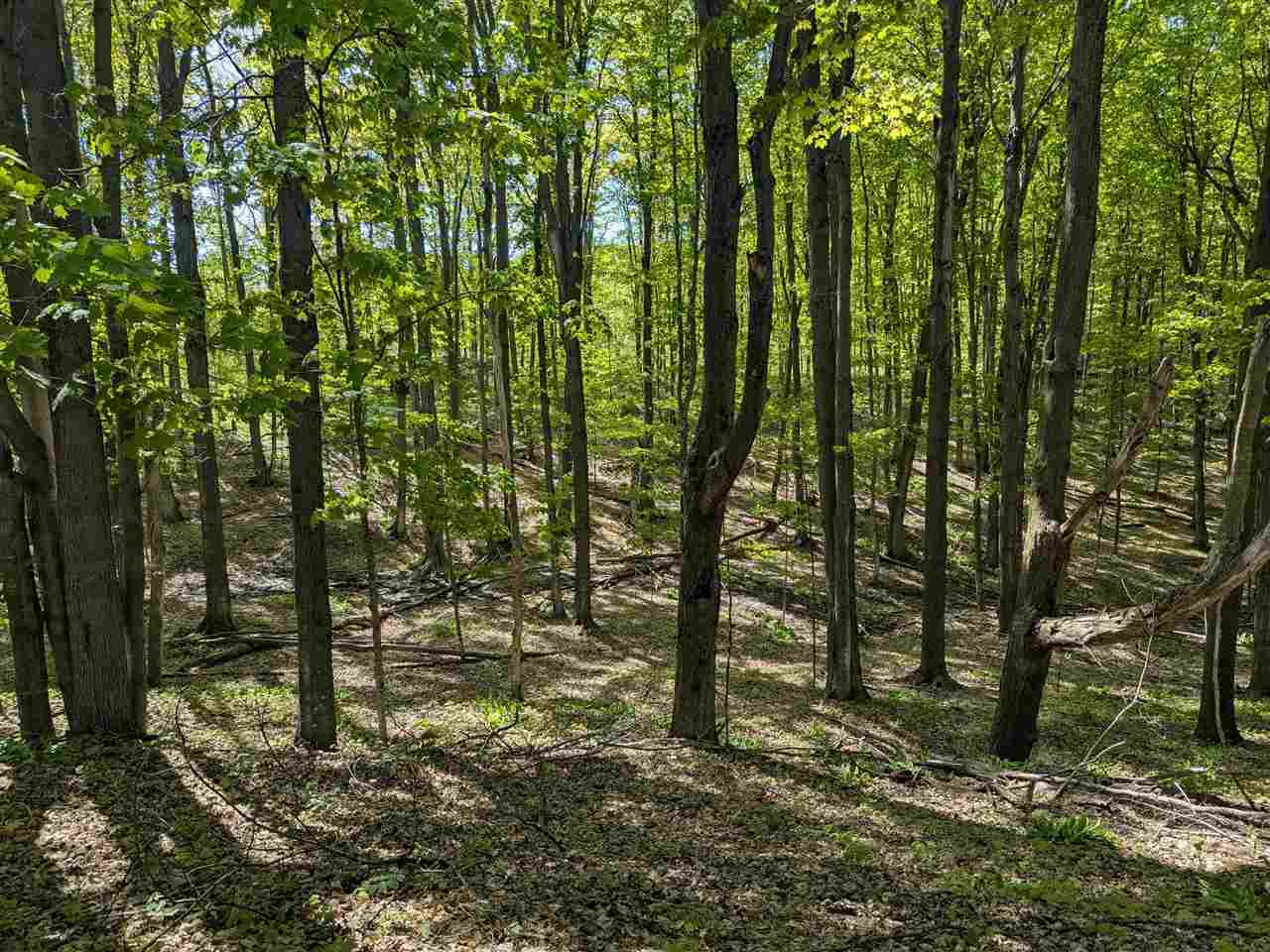 8828 Roberts Road Central Lake MI 49622