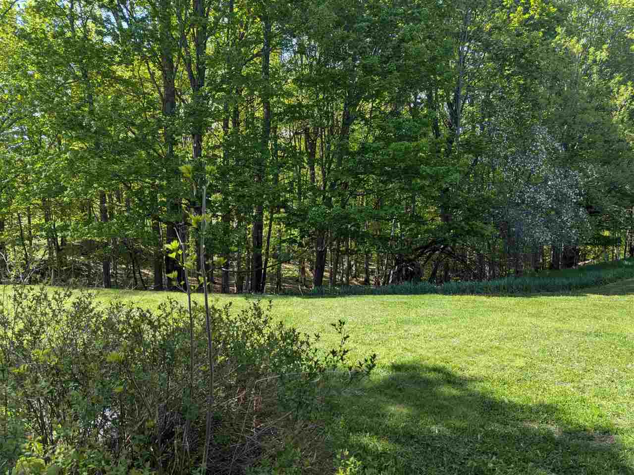 8828 Roberts Road Central Lake MI 49622