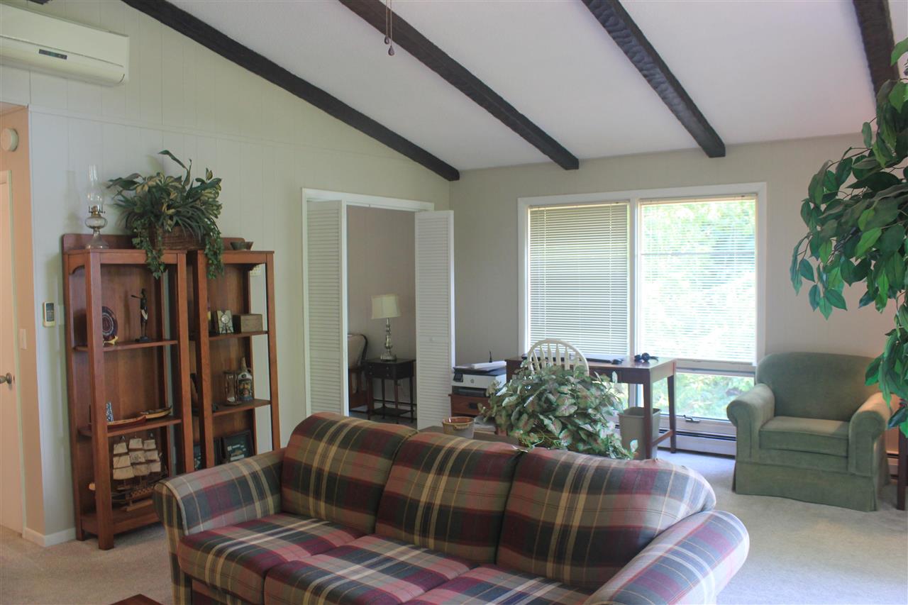 7066 Crystal Springs Road Bellaire MI 49615