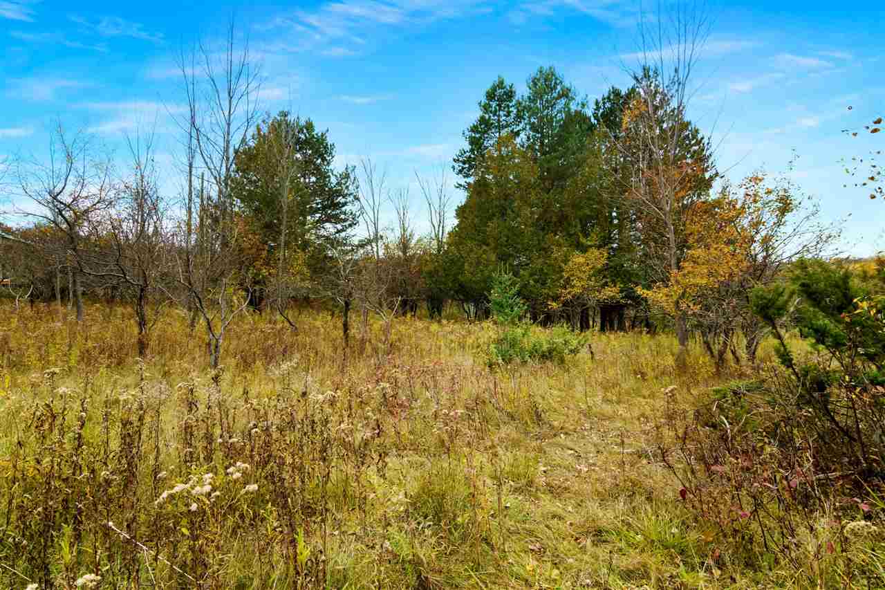 3460 Cherry Hill Road Boyne Falls MI 49713-000