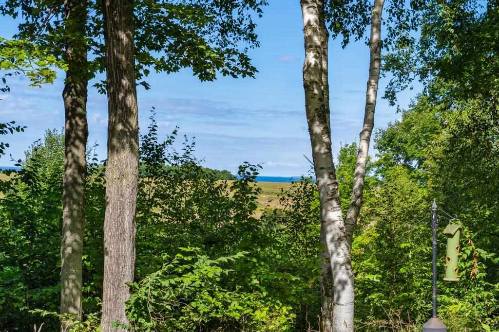 10567 Bay Ridge Estates Drive Ellsworth MI 49729