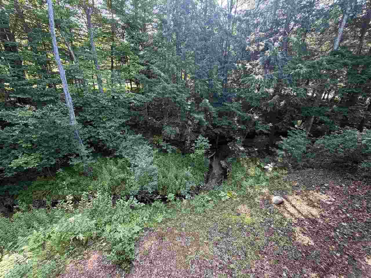 807 Olson Street East Jordan MI 49727
