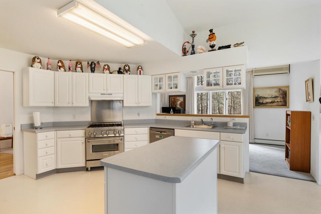 780 Meadow Lane Harbor Springs MI 49740