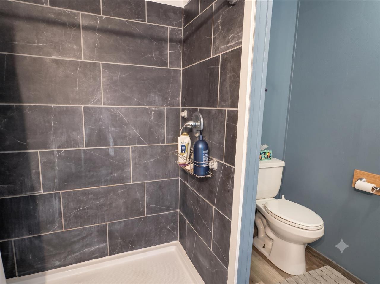 6229 E Brutus Road Alanson MI 49706