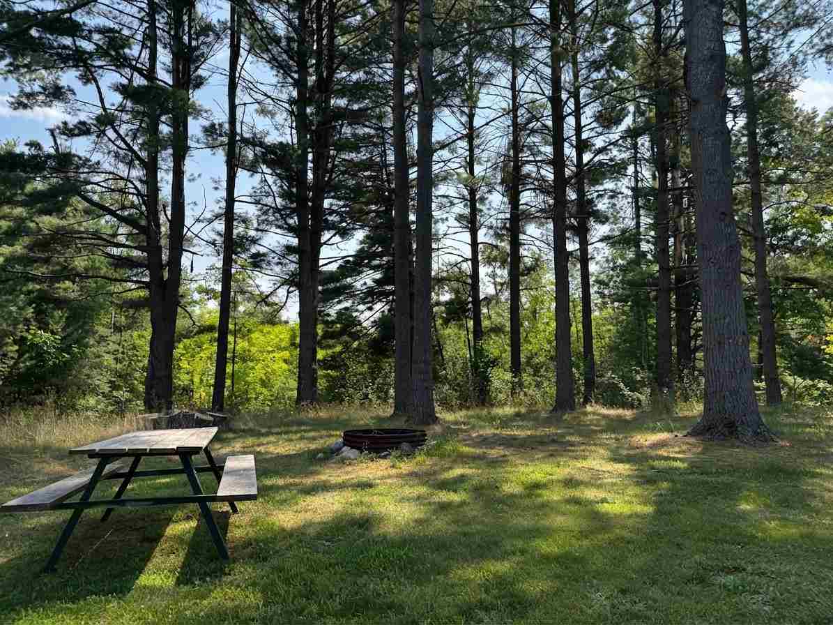 6229 E Brutus Road Alanson MI 49706