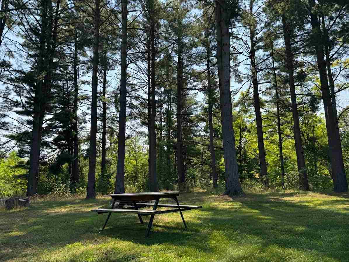6229 E Brutus Road Alanson MI 49706