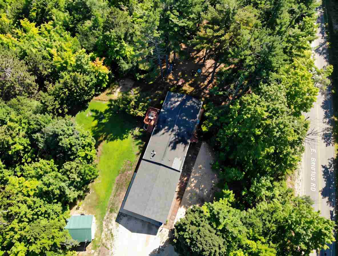 6229 E Brutus Road Alanson MI 49706