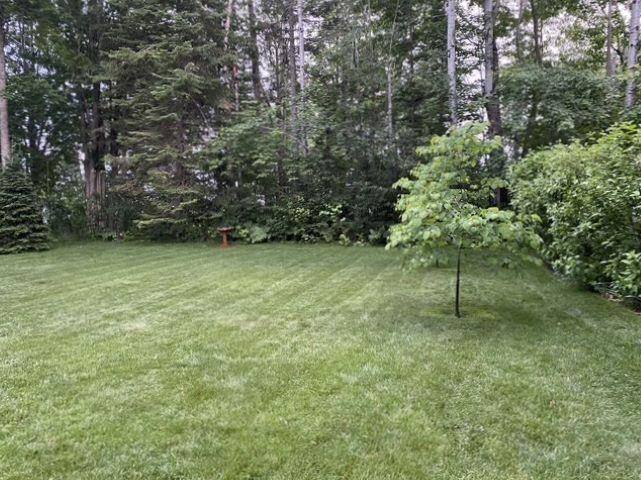 9440 Silver Strand Road Levering MI 49755