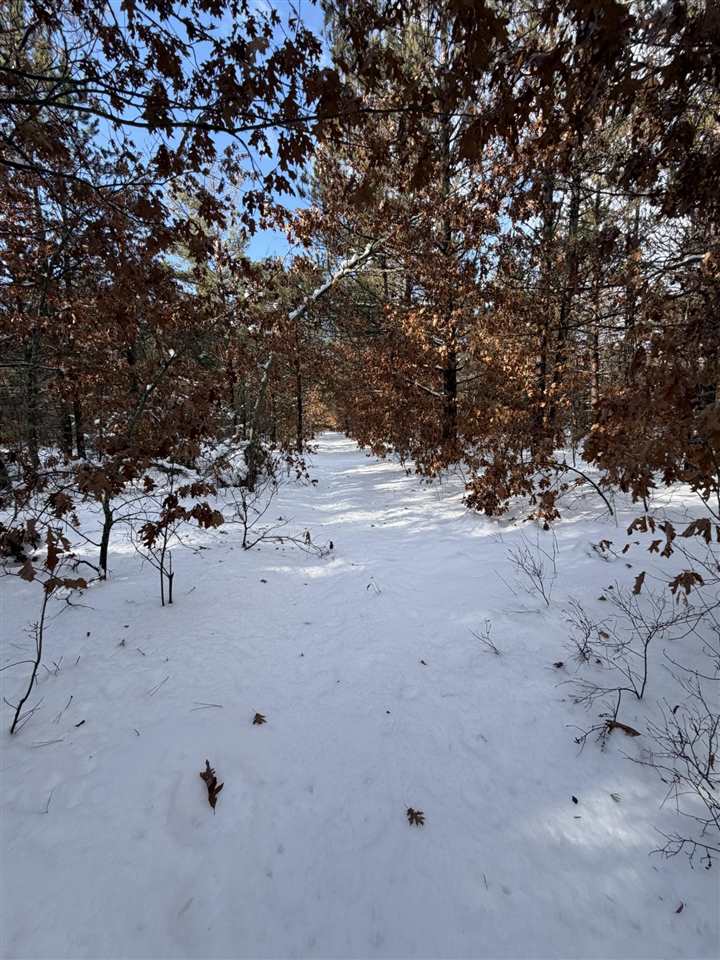 3821 Henry Highway Lewiston MI 49756