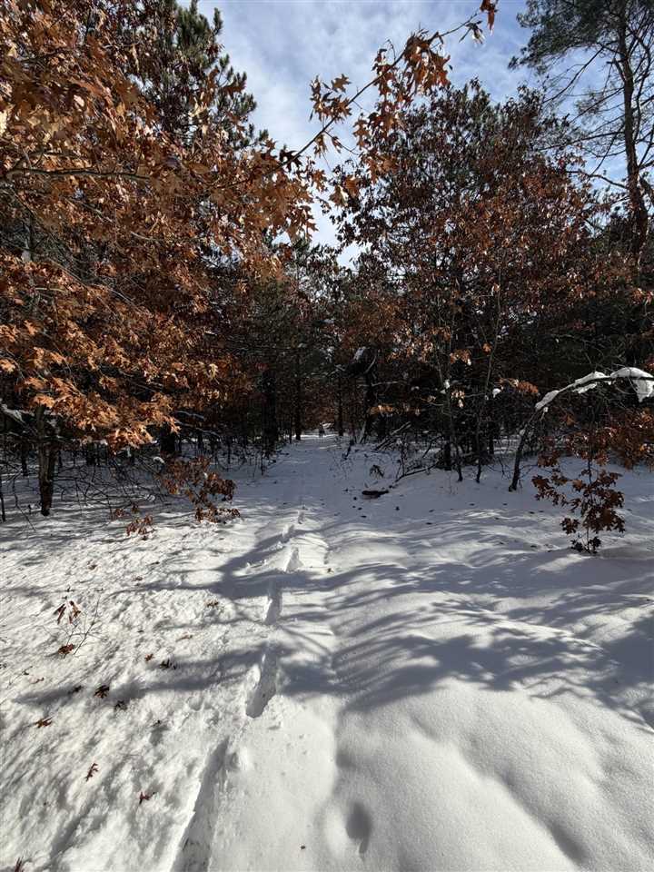 3821 Henry Highway Lewiston MI 49756