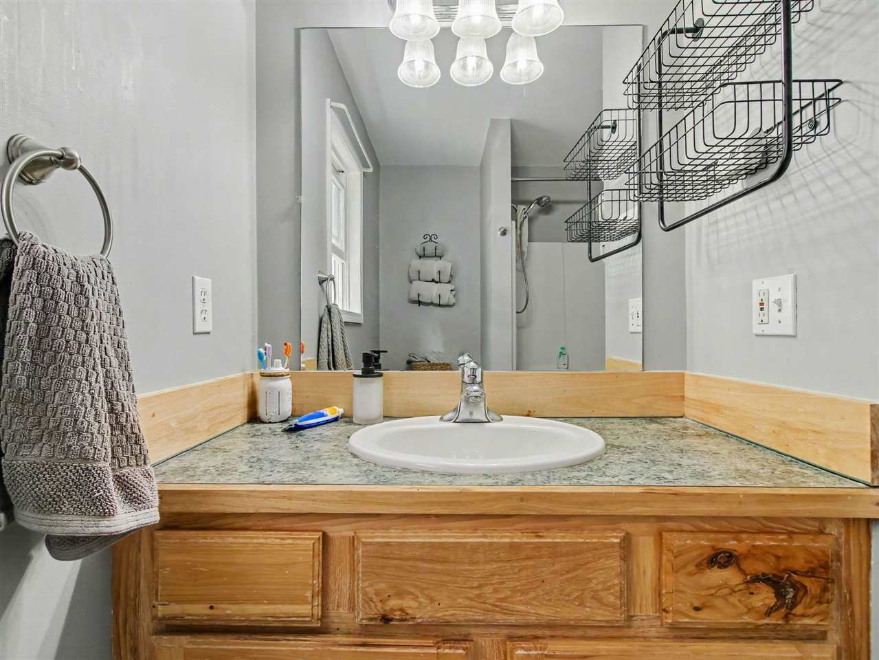 7450 Liegl Court Alanson MI 49706