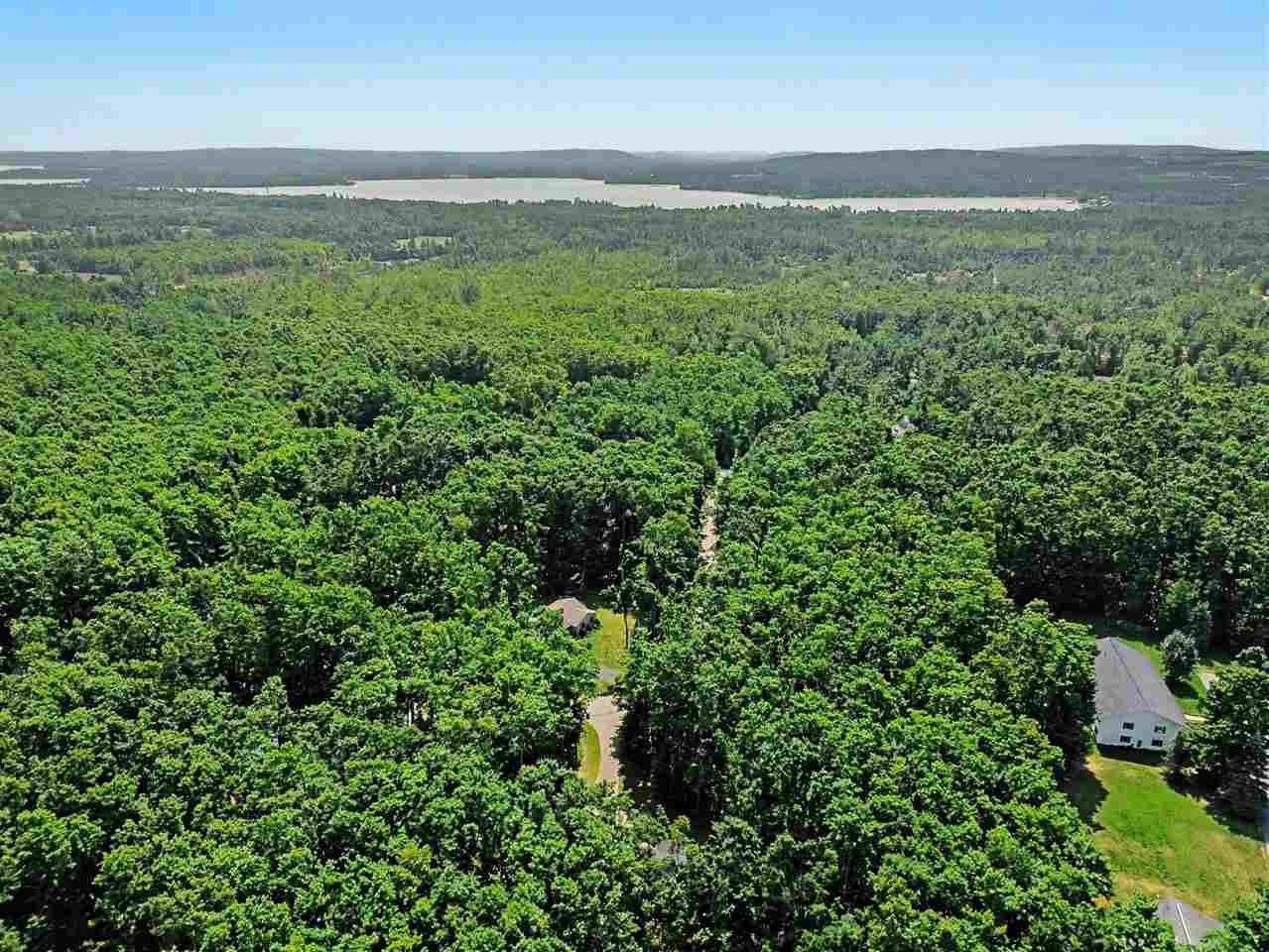 7450 Liegl Court Alanson MI 49706