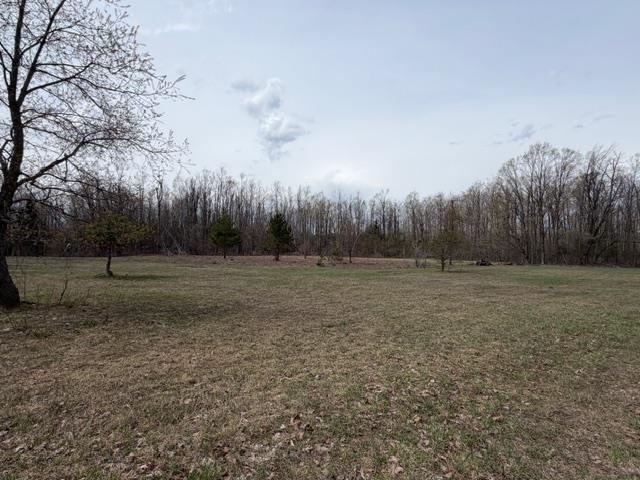 1722 Mcgregor Road Vanderbilt MI 49795