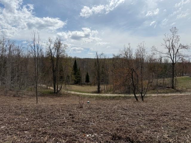 1722 Mcgregor Road Vanderbilt MI 49795