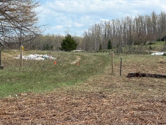 1722 Mcgregor Road Vanderbilt MI 49795