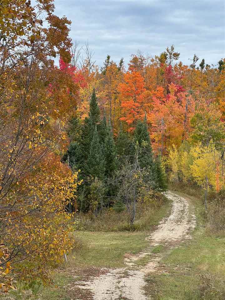 1722 Mcgregor Road Vanderbilt MI 49795