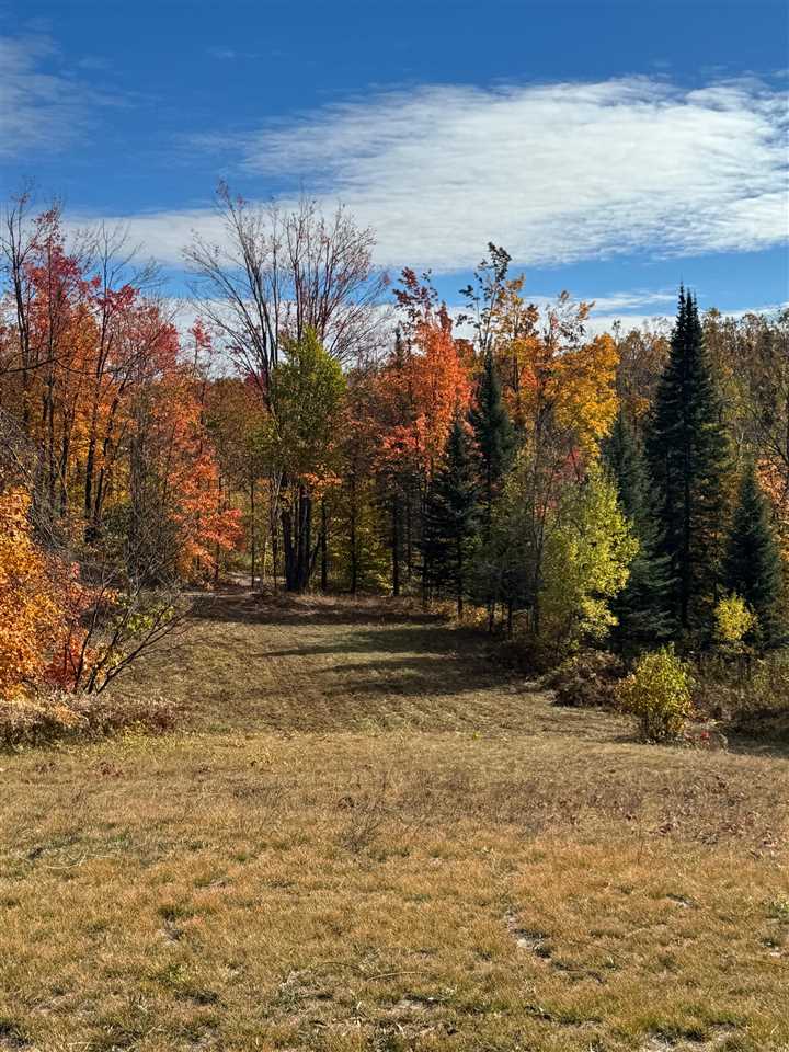 1722 Mcgregor Road Vanderbilt MI 49795