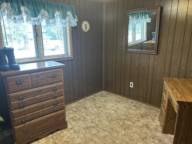 3802 Euclid Avenue Brutus MI 49716