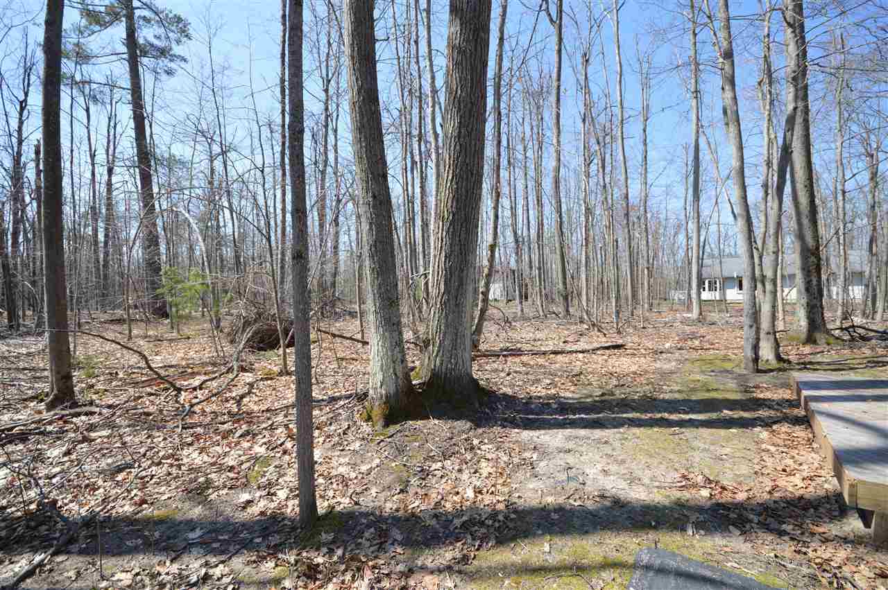 351 Michaywe Drive Gaylord MI 49735