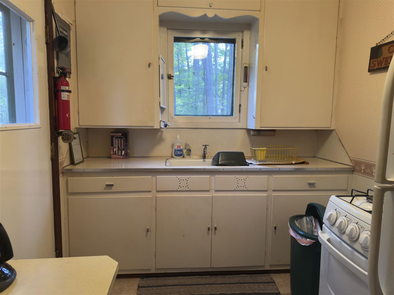 1647 Columbine Street Topinabee MI 49791