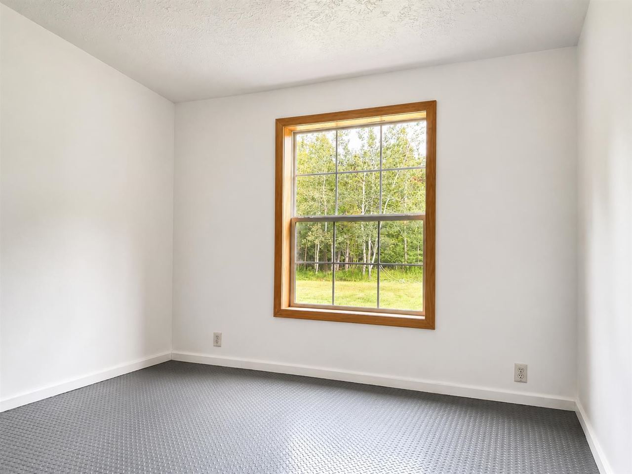 6815 Wessel Road Alpena MI 49707