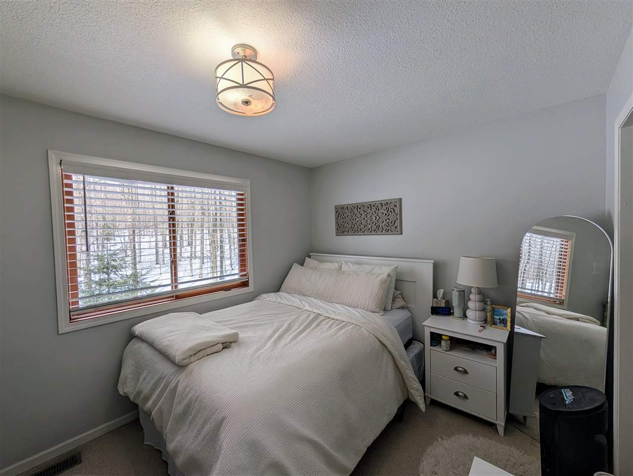 6019 & 6037 Forest Ridge Lane Harbor Springs MI 49740