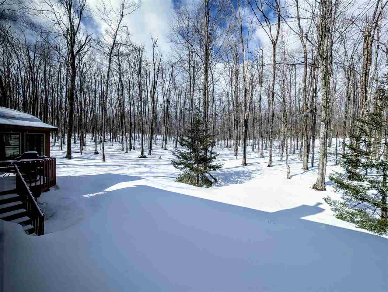 6019 & 6037 Forest Ridge Lane Harbor Springs MI 49740