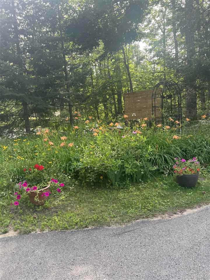 6019 & 6037 Forest Ridge Lane Harbor Springs MI 49740
