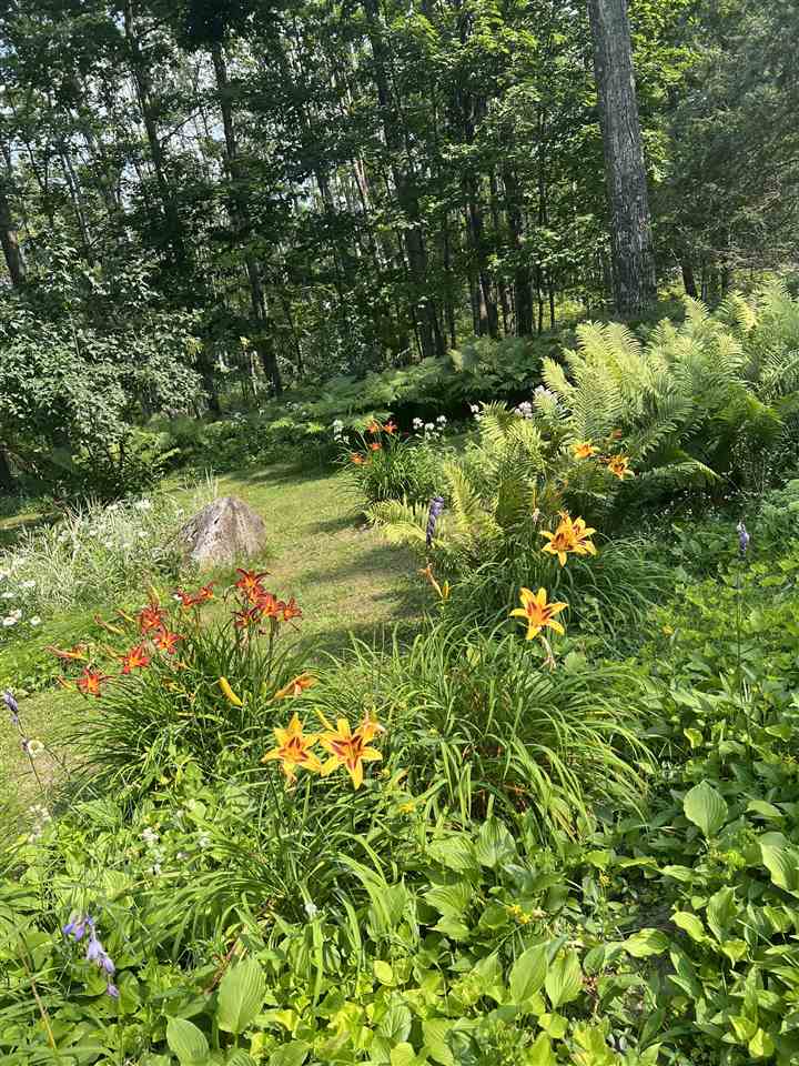 6019 & 6037 Forest Ridge Lane Harbor Springs MI 49740