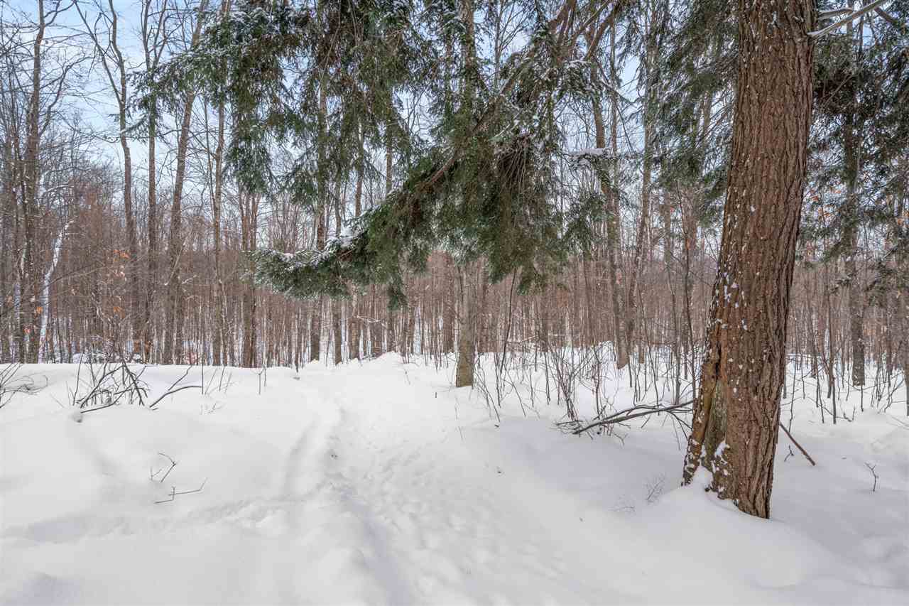 899 S State Road Harbor Springs MI 49740