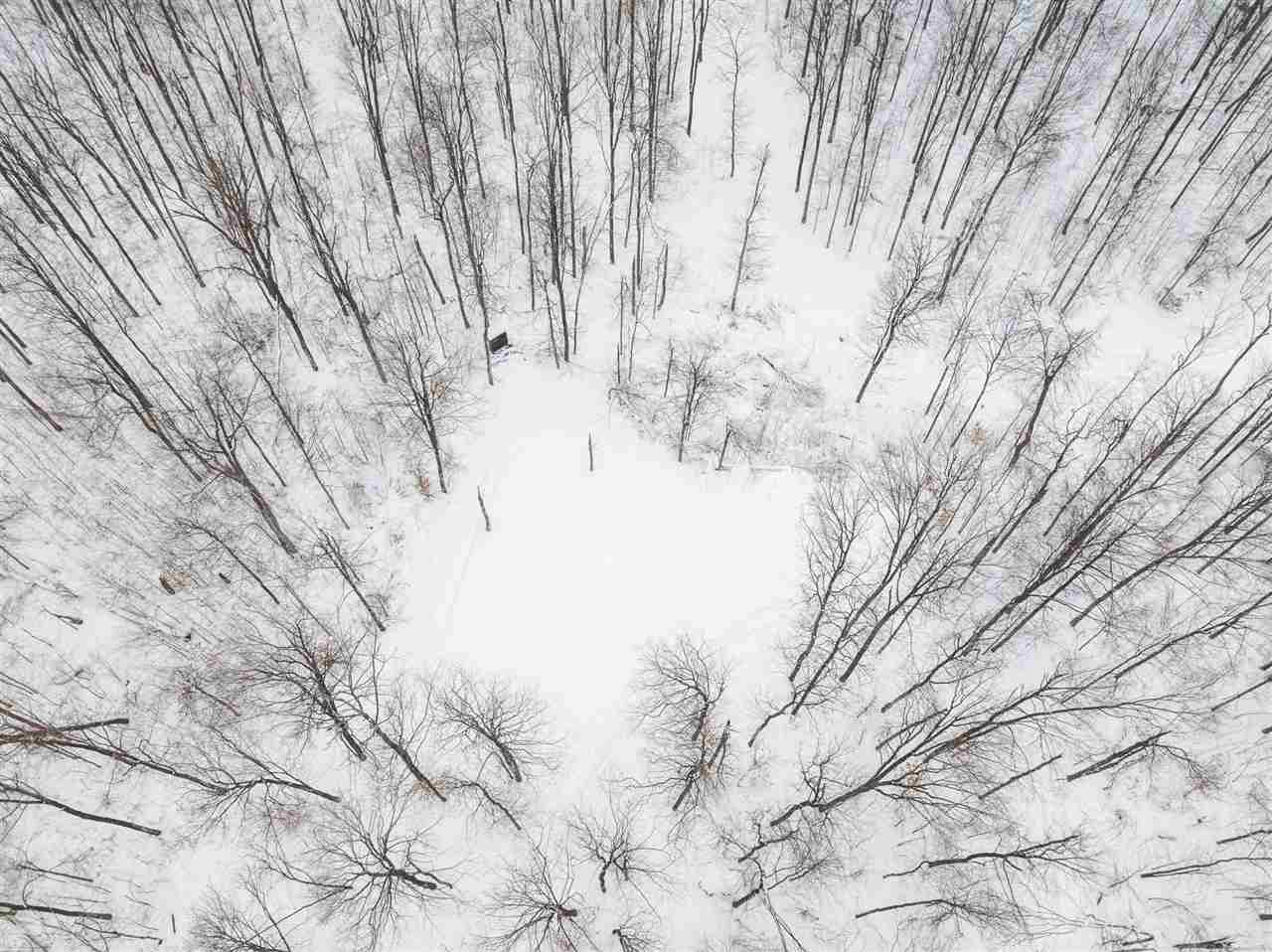 899 S State Road Harbor Springs MI 49740