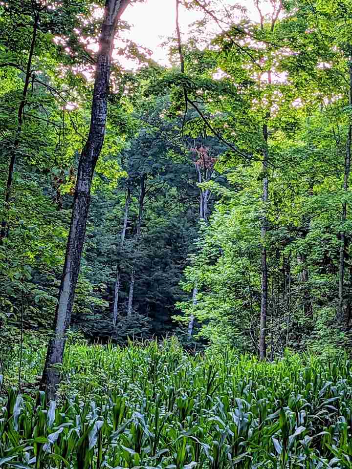 899 S State Road Harbor Springs MI 49740