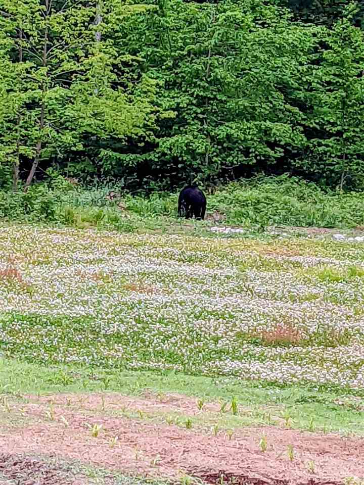 899 S State Road Harbor Springs MI 49740