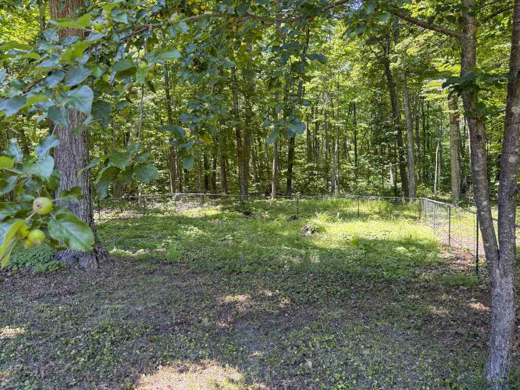 31535 West Side Road Beaver Island MI 49782