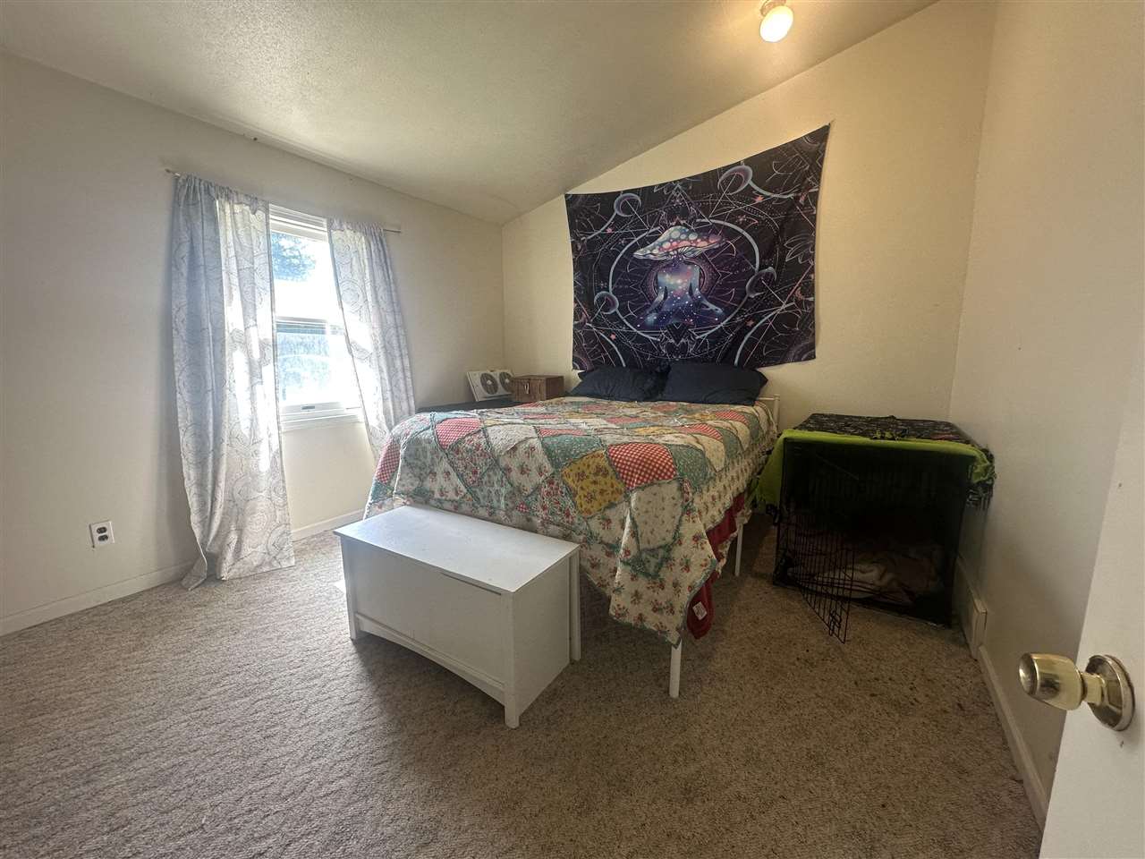 8849 Blumke Road Alanson MI 49706