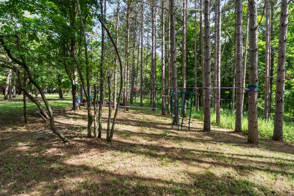 3340 S Lake Shore Drive Harbor Springs MI 49740